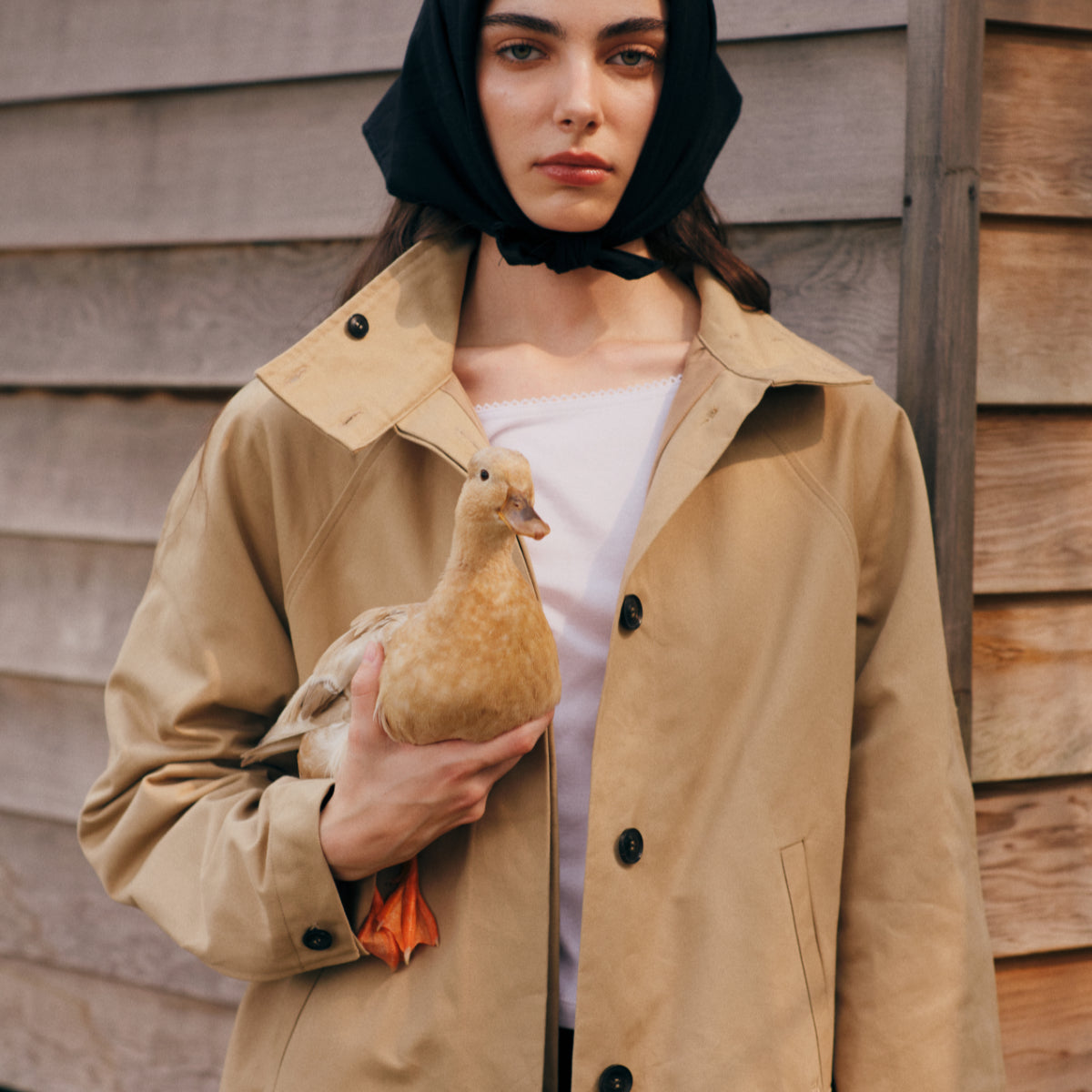 She Knows - Arco Trench Coat